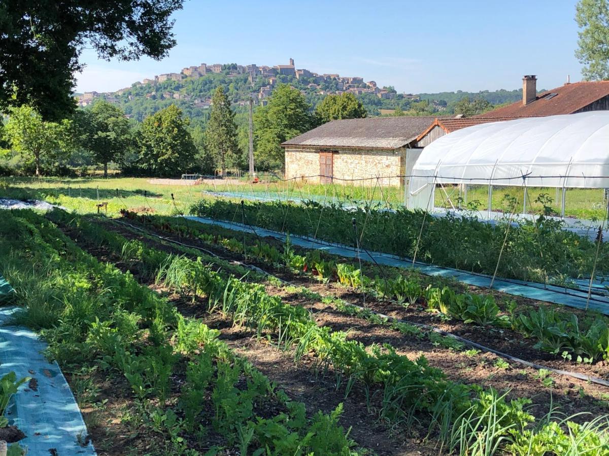 Gite A La Ferme De Verdurette Cordes-Sur-Ciel Exterior foto